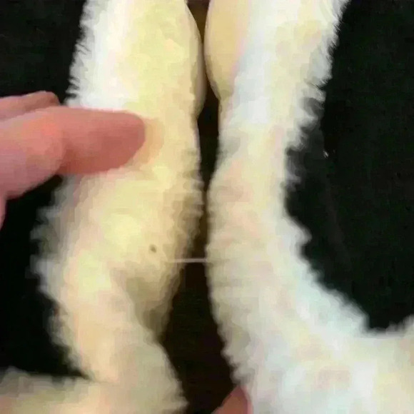 NWT cow slippers with socks size 7.5-8.5 women - Picture 3 of 8